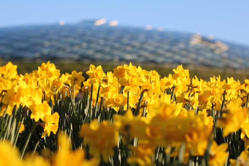 National Botanic Garden of Wales